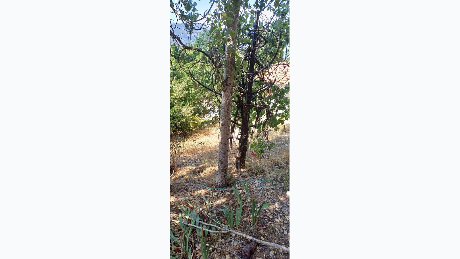 Slide 5