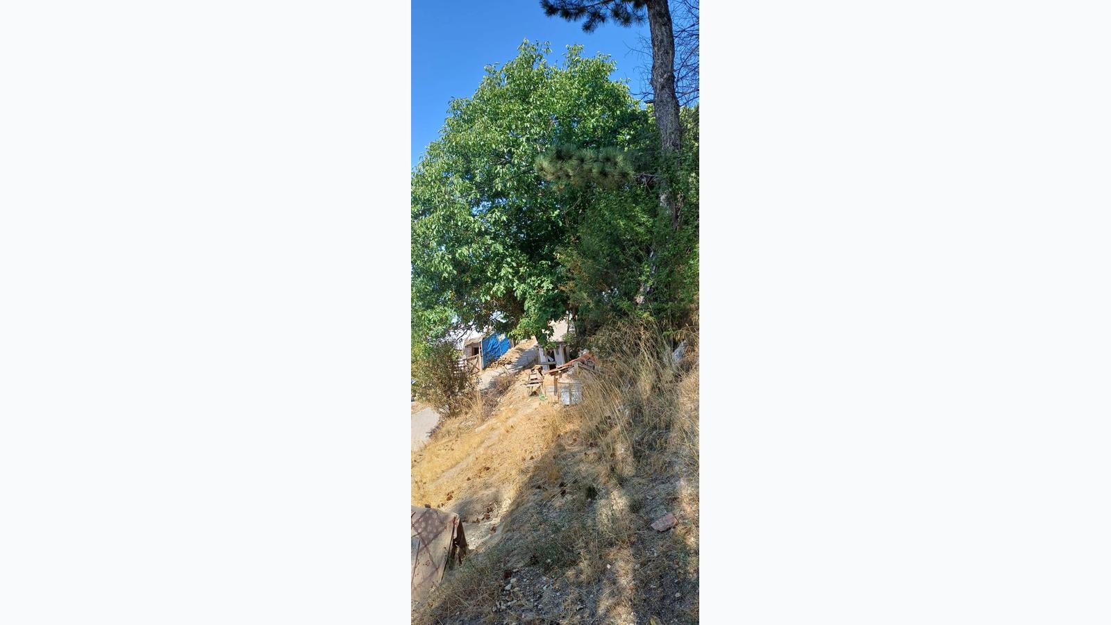 Slide 8