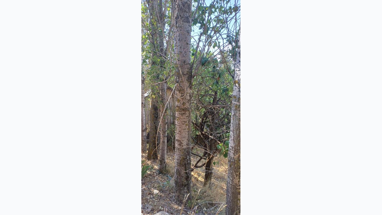 Slide 16