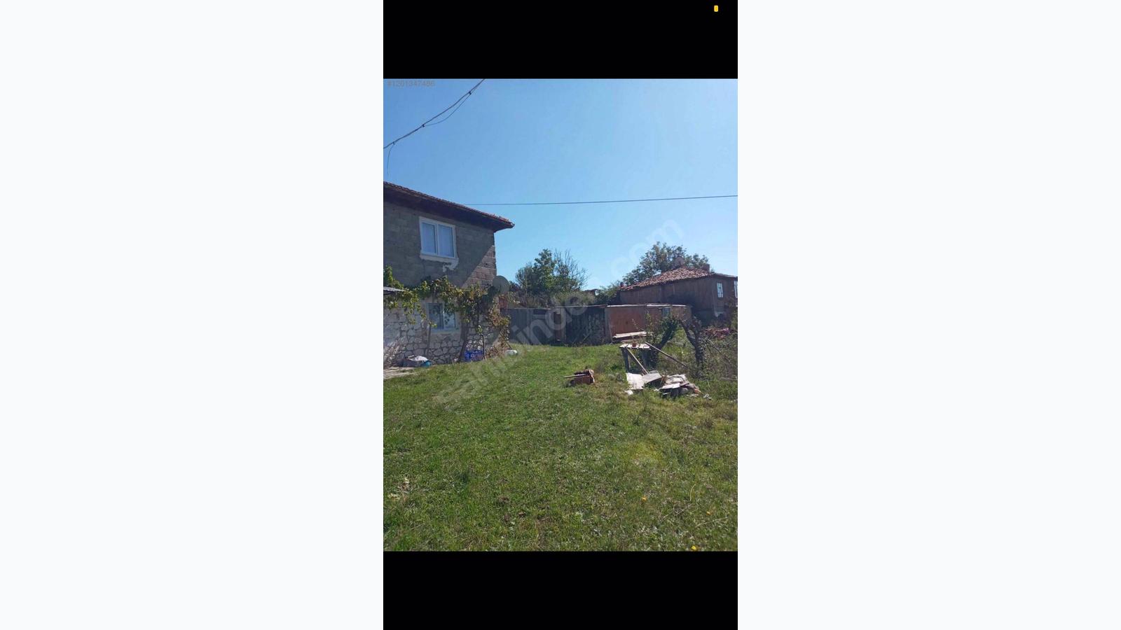 Slide 6