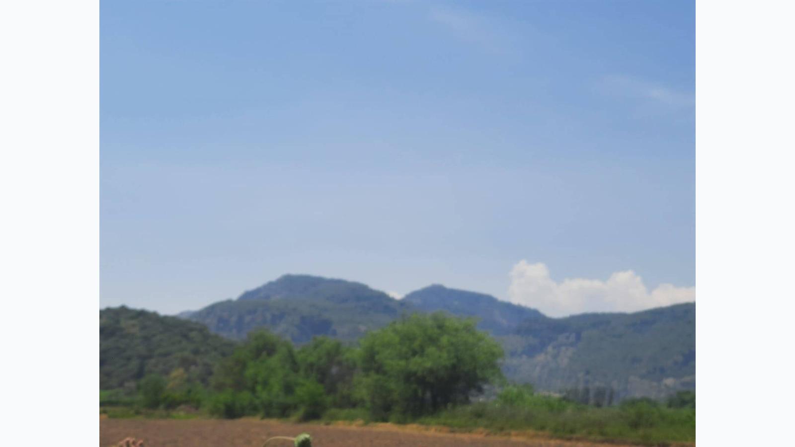 Slide 4