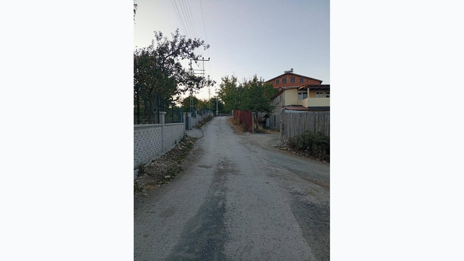 Slide 11