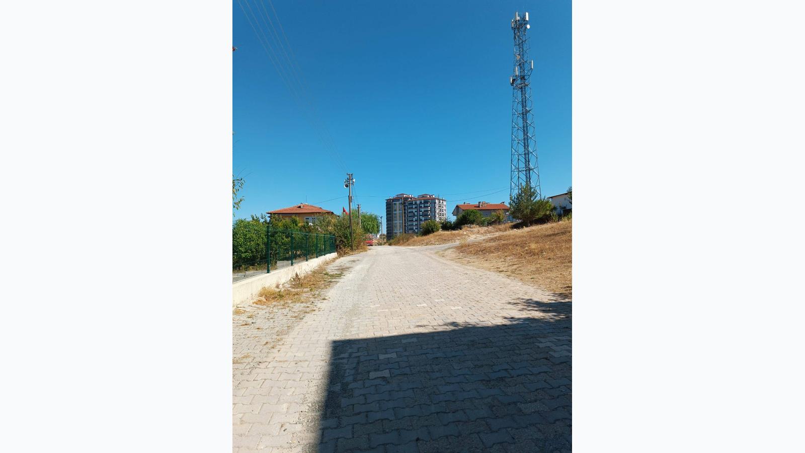 Slide 8
