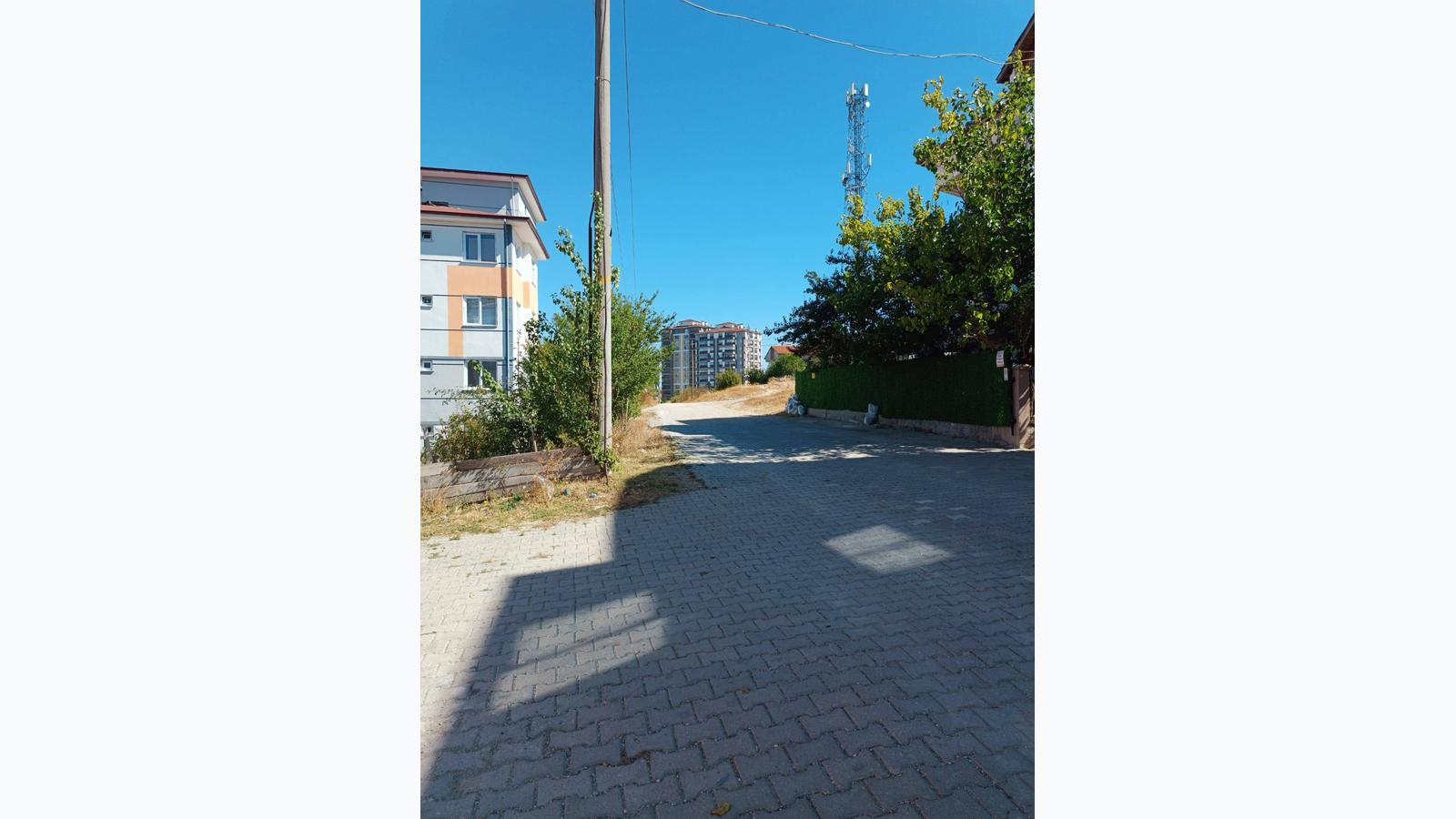 Slide 9