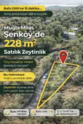 https://cdn.ilanlar.com/images/l1/l2/{width}/{height}/30009949_1776330955339275193.png
