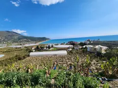 Antalya Gazipaşa Yakacık Mahallesi 854 m² satılık villa arsa - Fotoğraf 1