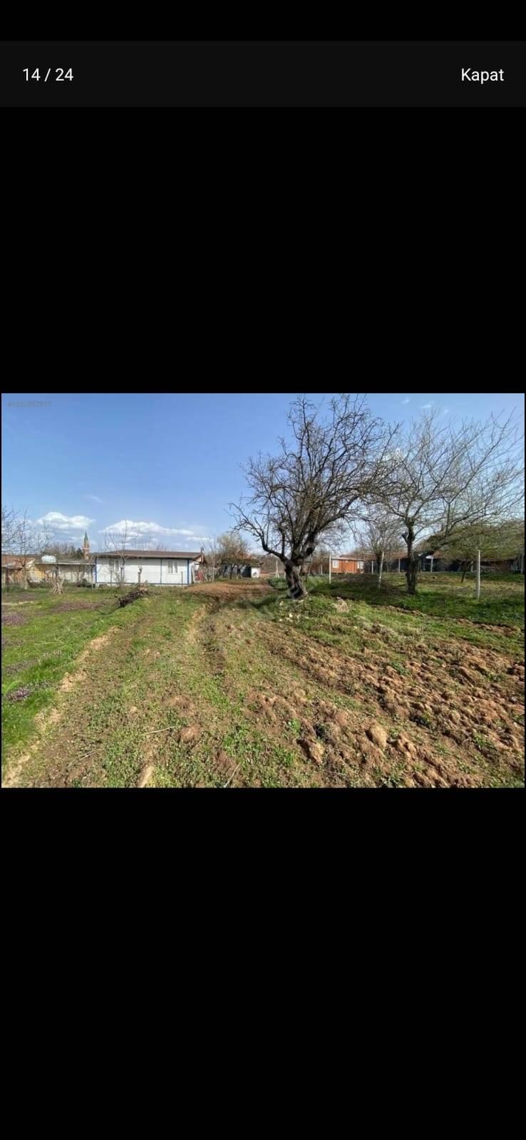 https://cdn.ilanlar.com/images/l1/l2/{width}/{height}/30002831_1757104676115540013.jpg