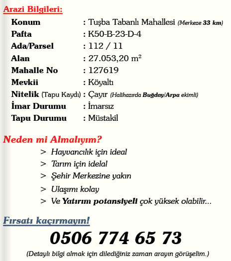 https://cdn.ilanlar.com/images/l1/l2/{width}/{height}/30002959_1758787359466548097.png