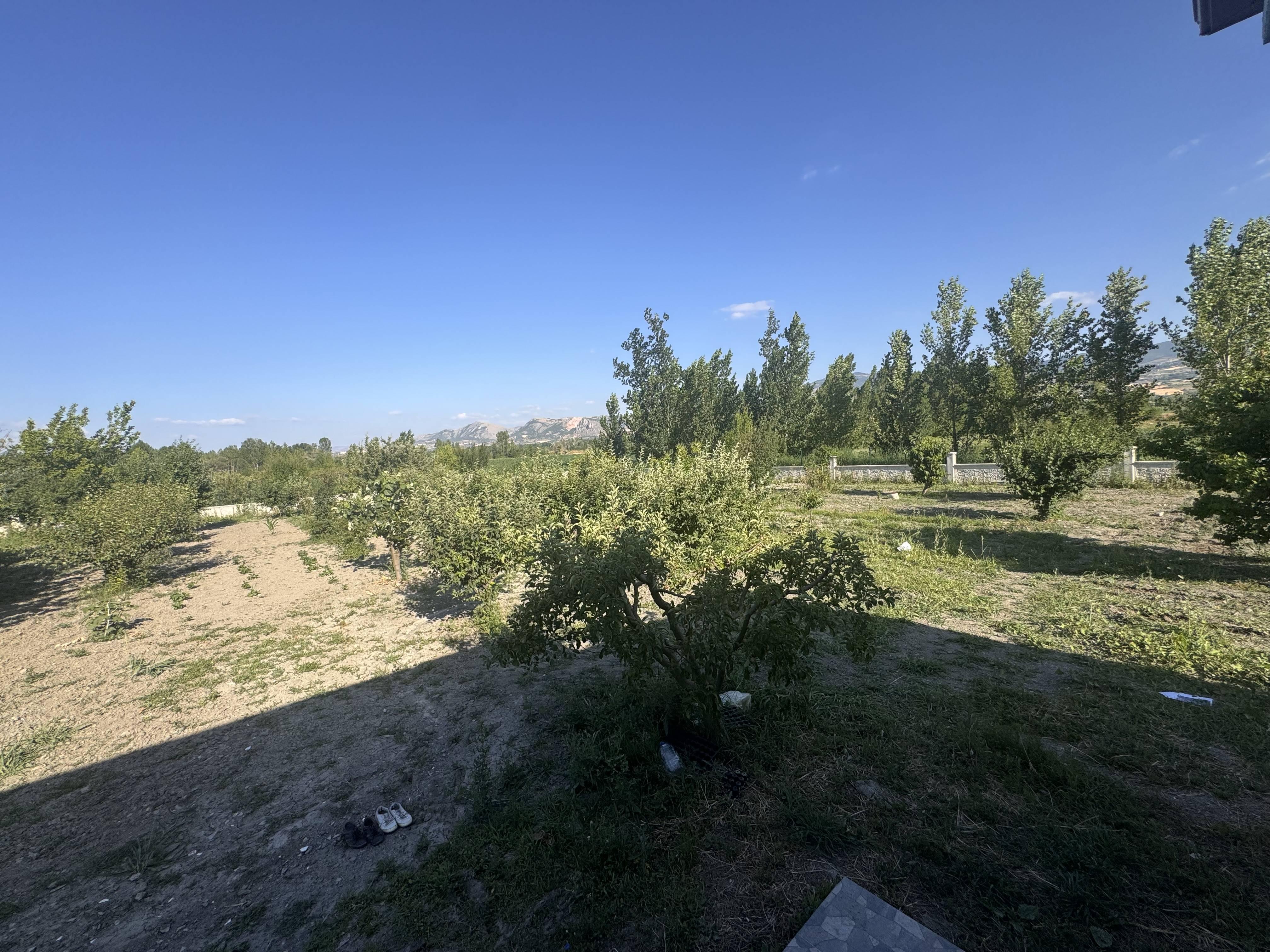 https://cdn.ilanlar.com/images/l1/l2/{width}/{height}/30005209_1762165818730440590.jpg