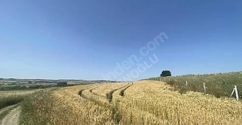 https://cdn.ilanlar.com/images/l1/l2/{width}/{height}/30007218_1767723087627711675.jpg