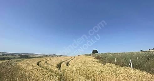 https://cdn.ilanlar.com/images/l1/l2/{width}/{height}/30007218_1767723088034935834.jpg