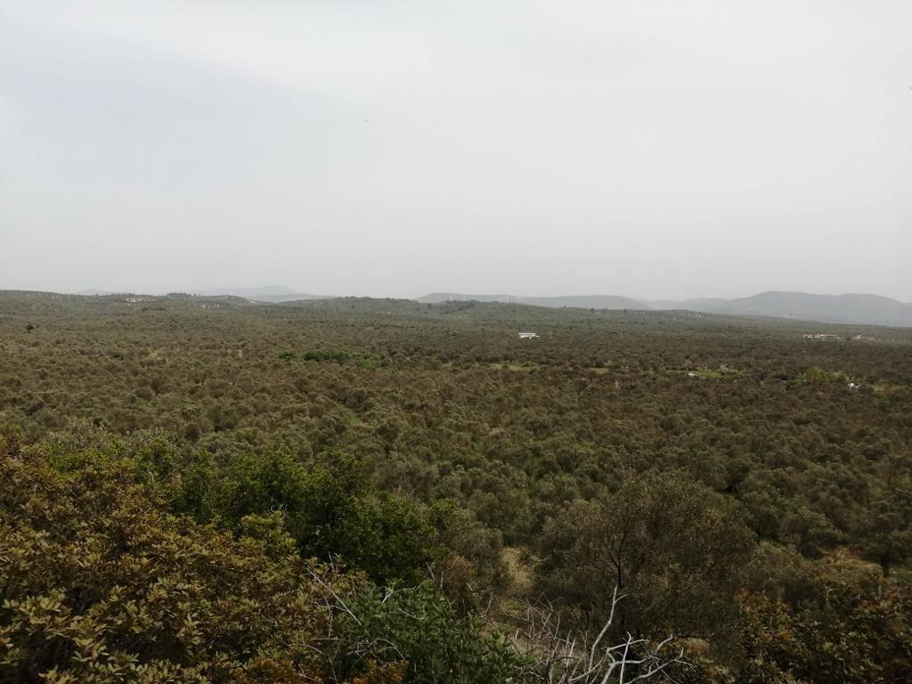 https://cdn.ilanlar.com/images/l1/l2/{width}/{height}/30007682_1768815242054060083.jpg