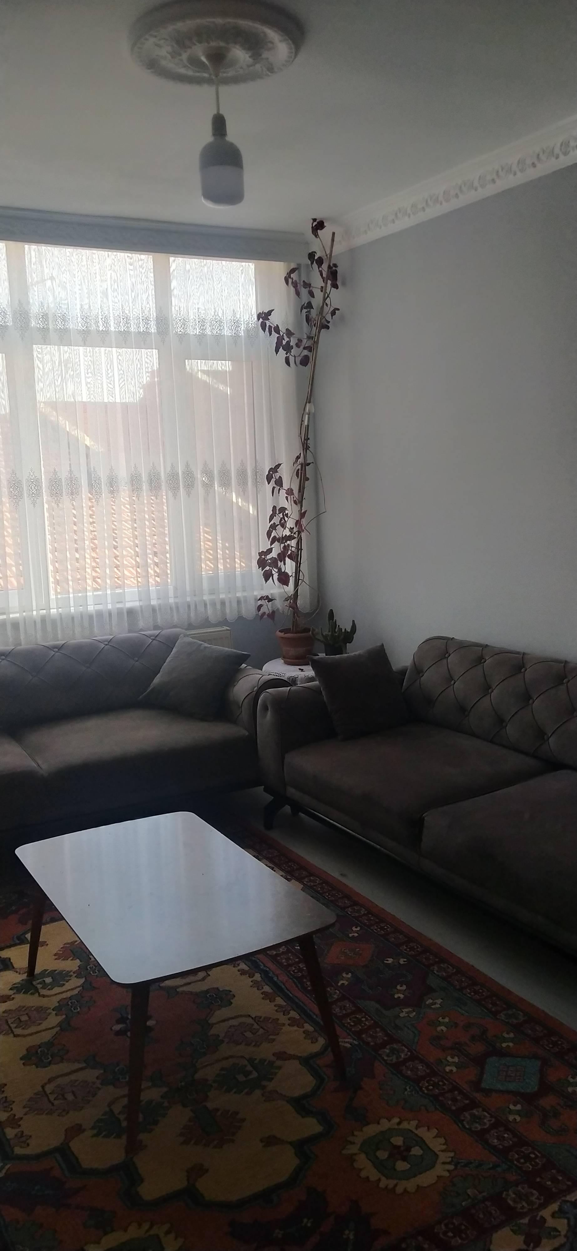 https://cdn.ilanlar.com/images/l1/l2/{width}/{height}/30008335_1770923829165351021.jpg