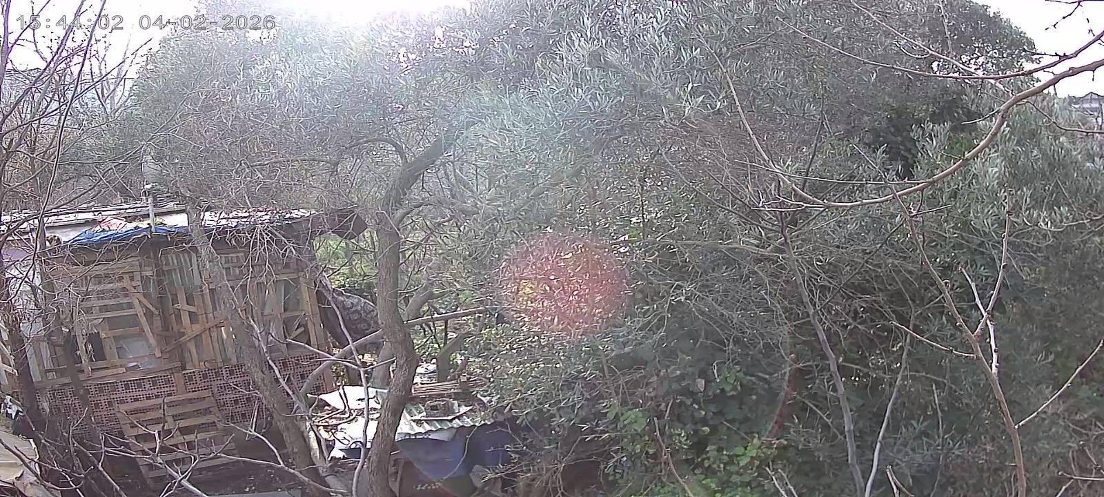 advert_260330_100429_3812.jpg