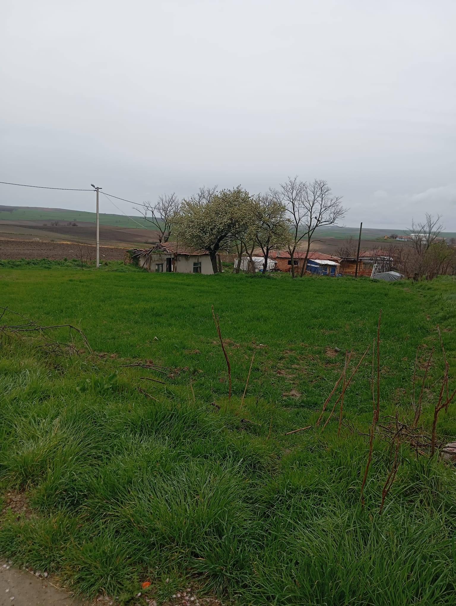 https://cdn.ilanlar.com/images/l1/l2/{width}/{height}/30009303_1774880920098442295.jpg
