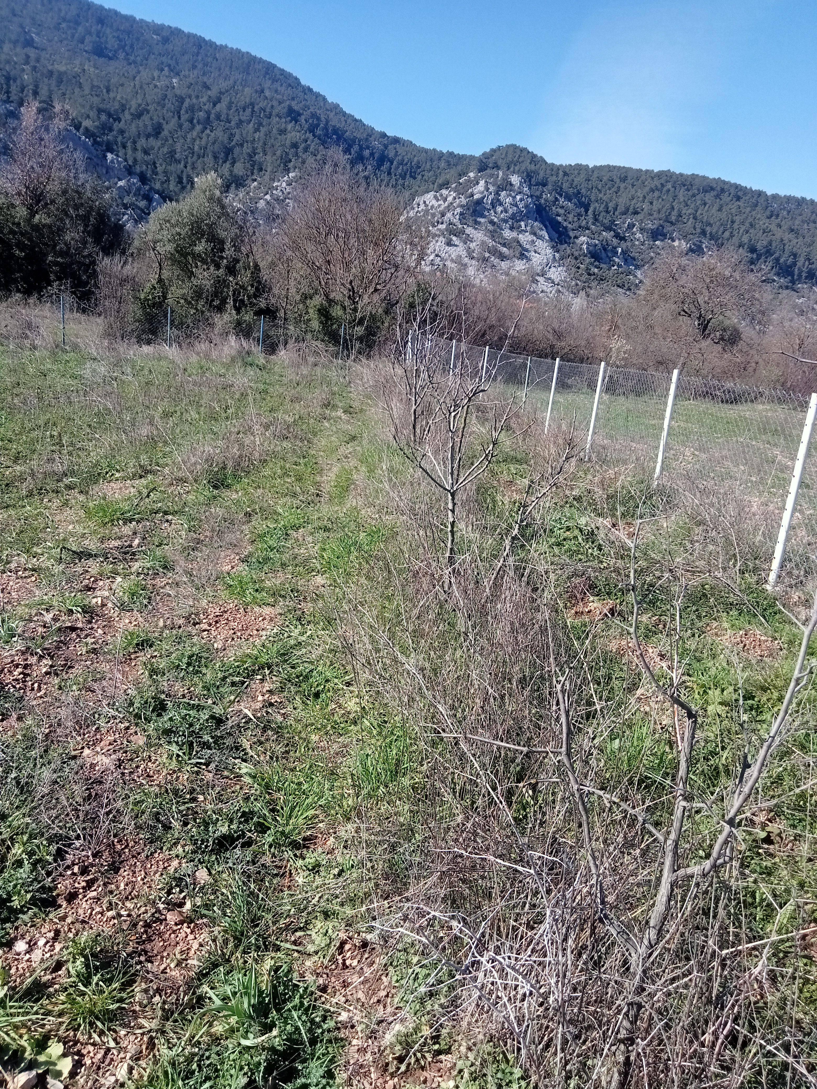 advert_260330_175838_1506.jpg