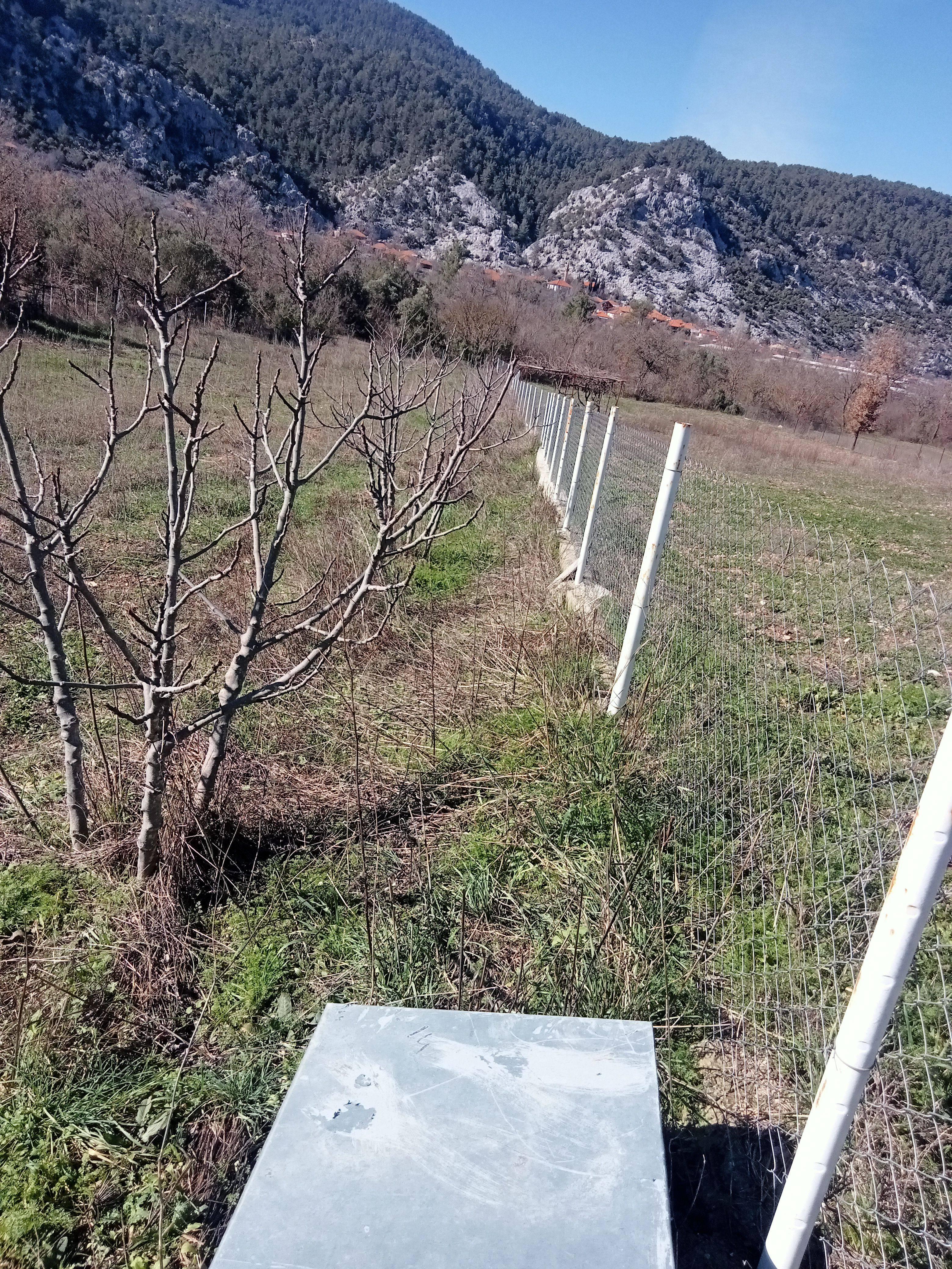 advert_260330_175844_9841.jpg