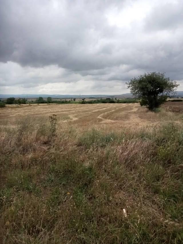 https://cdn.ilanlar.com/images/l1/l2/{width}/{height}/30009801_1777209682271464876.jpg