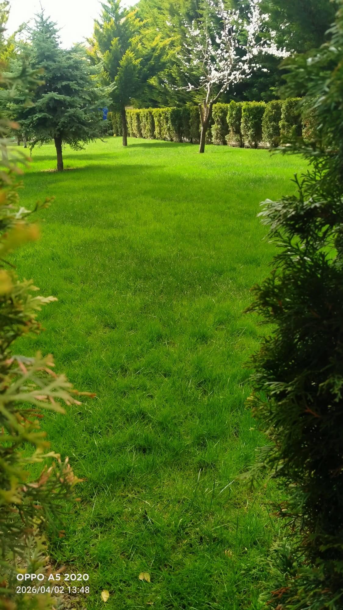 https://cdn.ilanlar.com/images/l1/l2/{width}/{height}/30009897_1776236340763320499.jpg