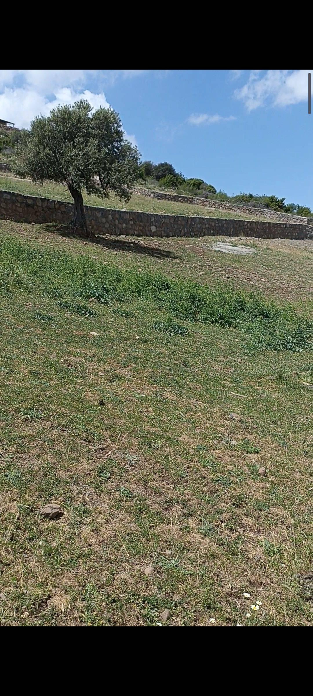 advert_260504_181820_5739.jpg