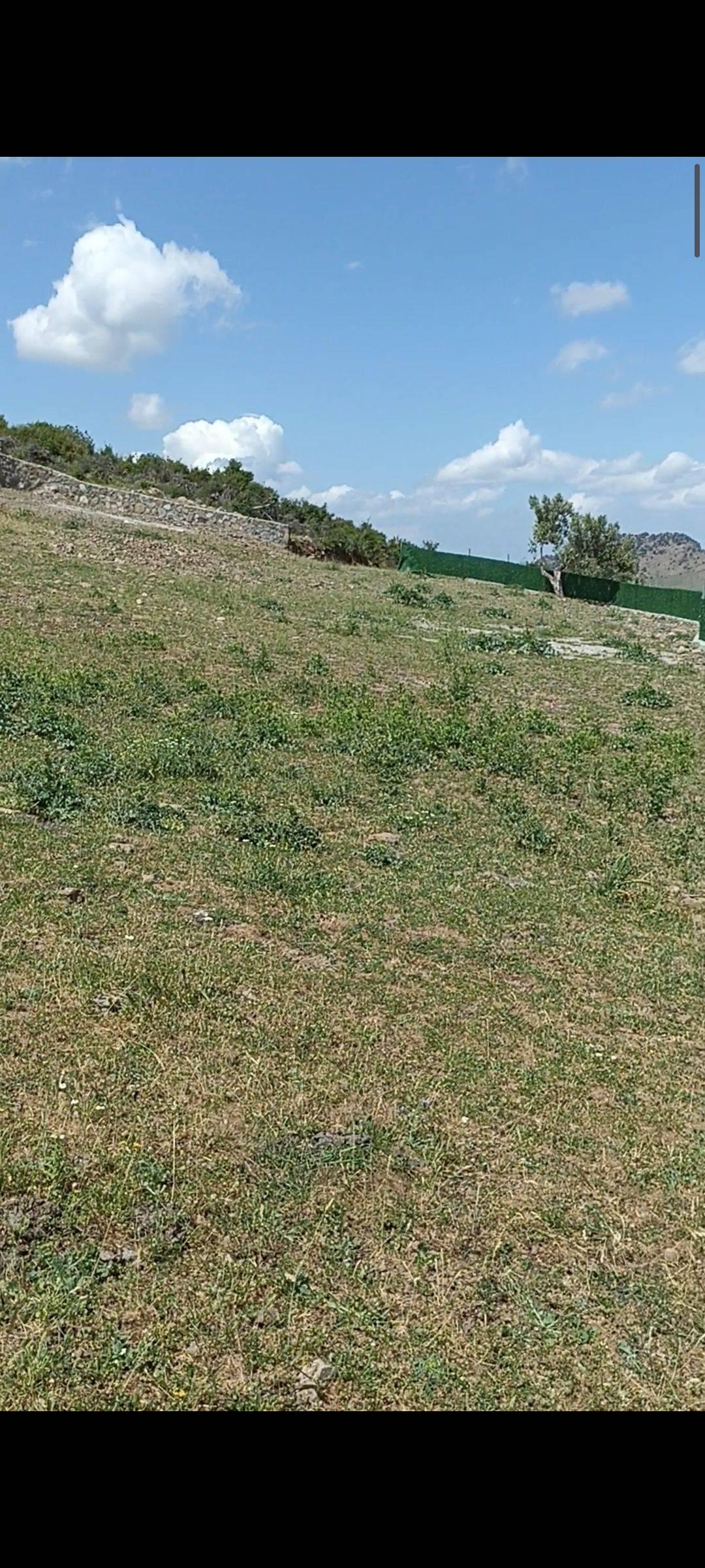advert_260504_181840_5381.jpg