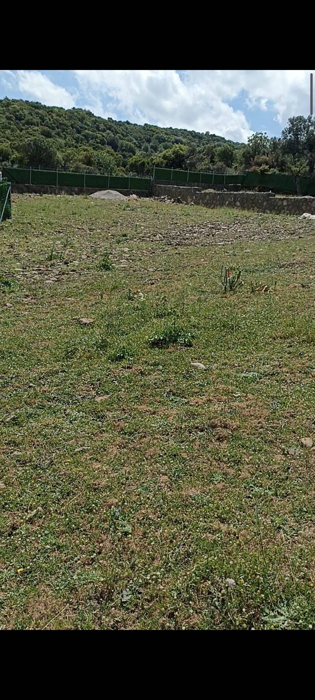 advert_260504_181855_6228.jpg