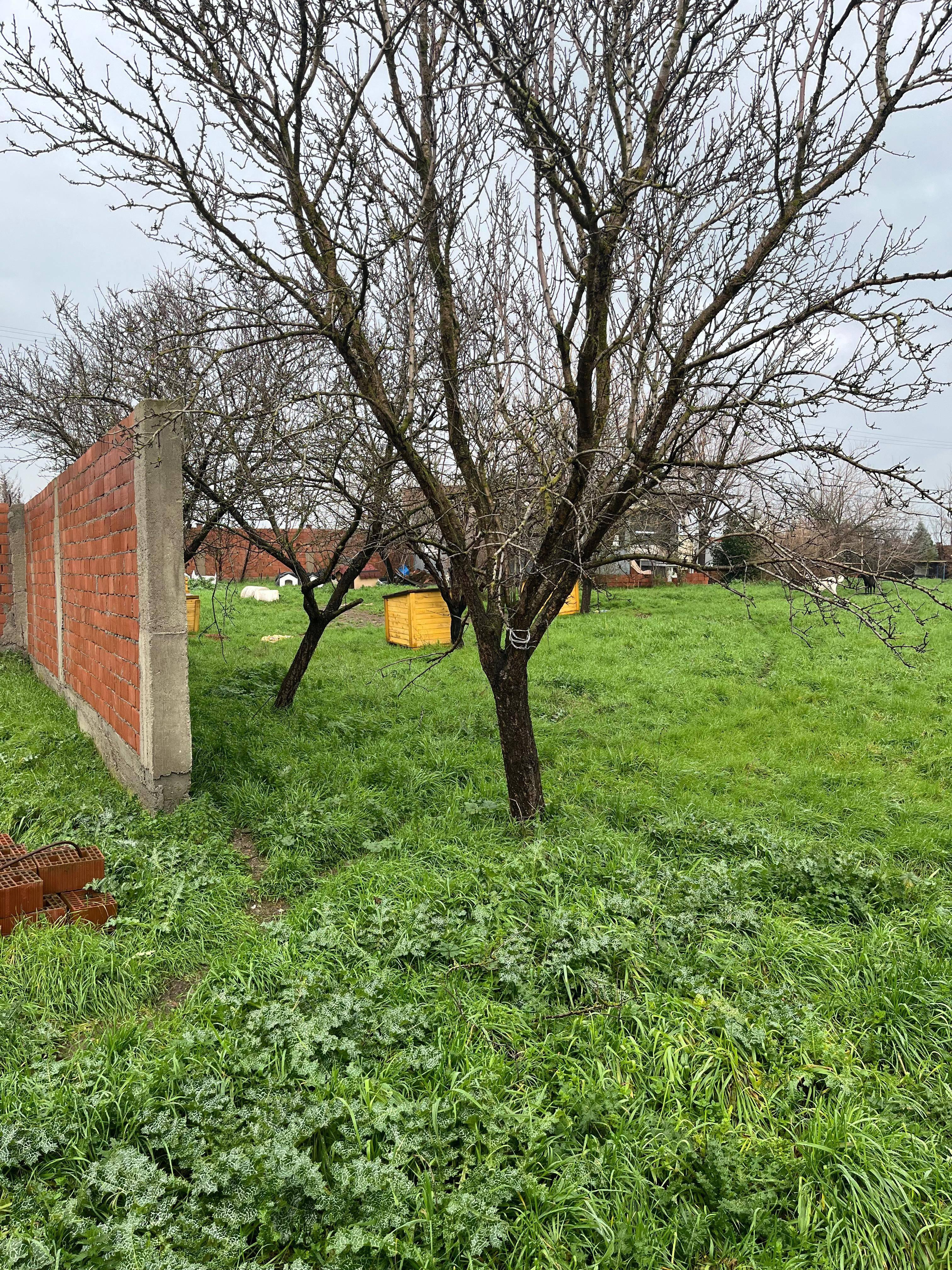 advert_260506_184542_1158.jpg