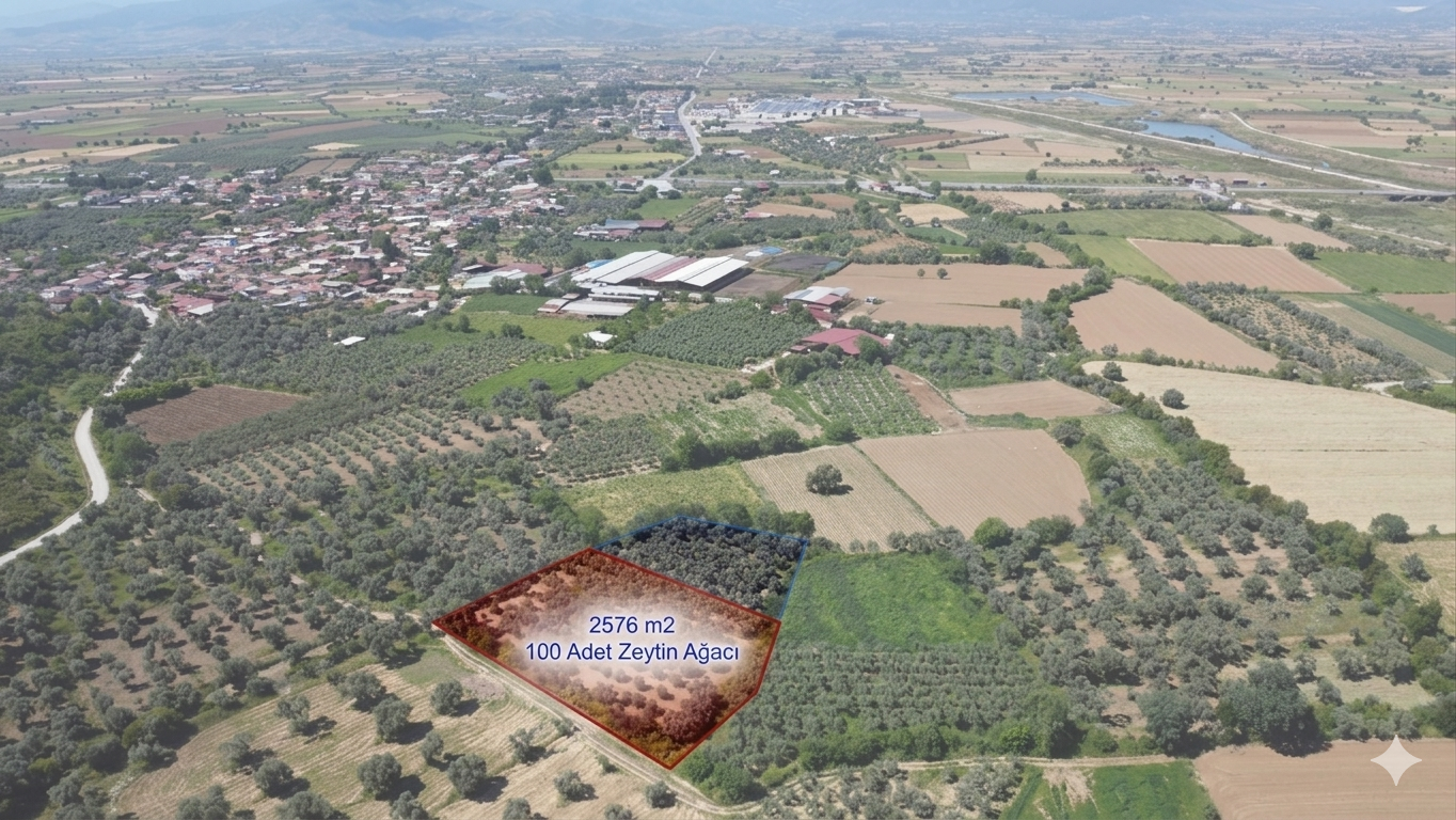 advert_260508_193932_0167.png