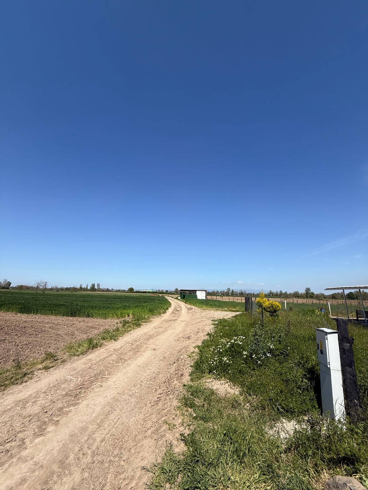 advert_260510_115003_2259.jpg