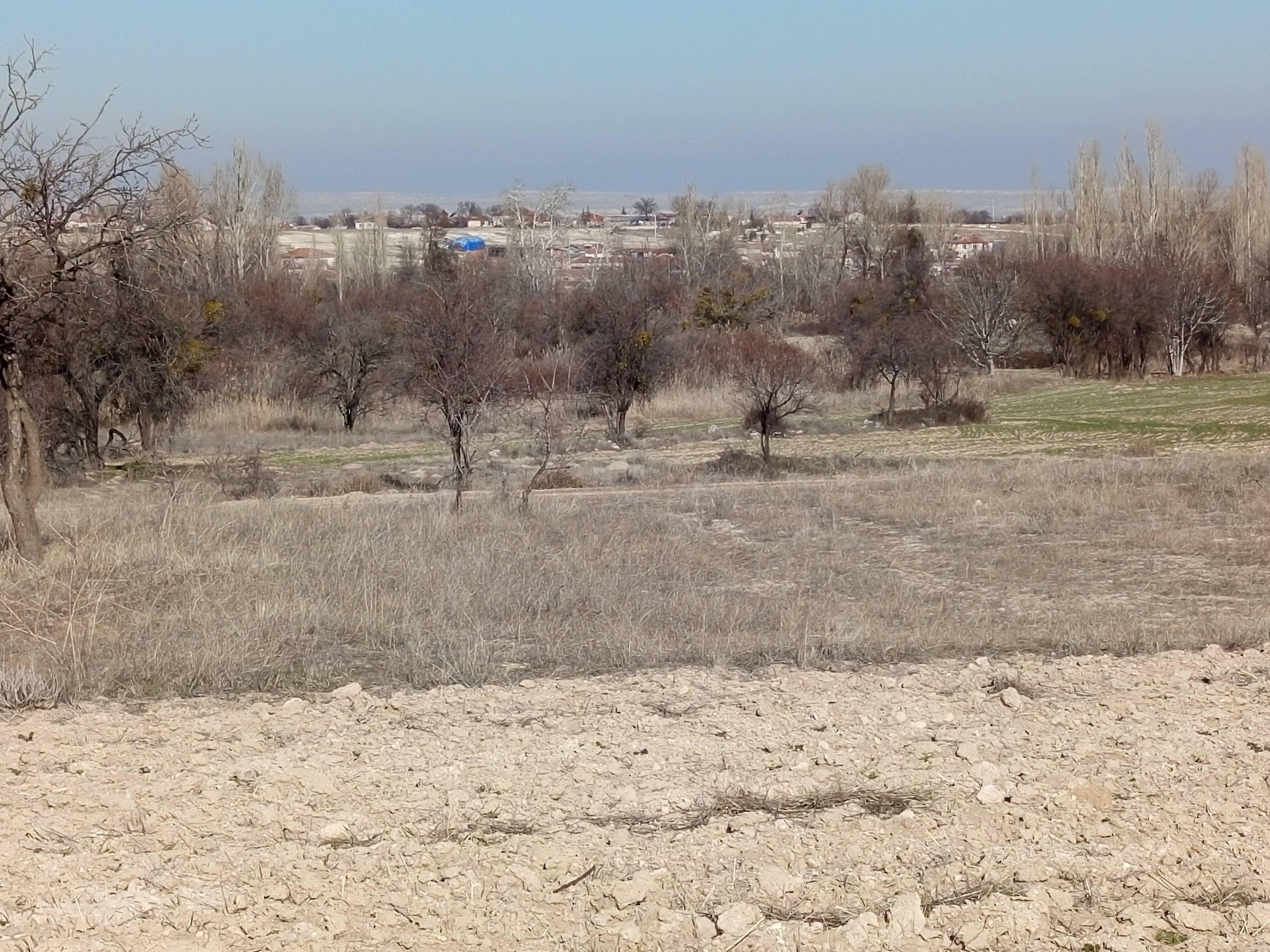 https://cdn.ilanlar.com/images/l1/l2/{width}/{height}/30011811_1780389550247010141.jpg