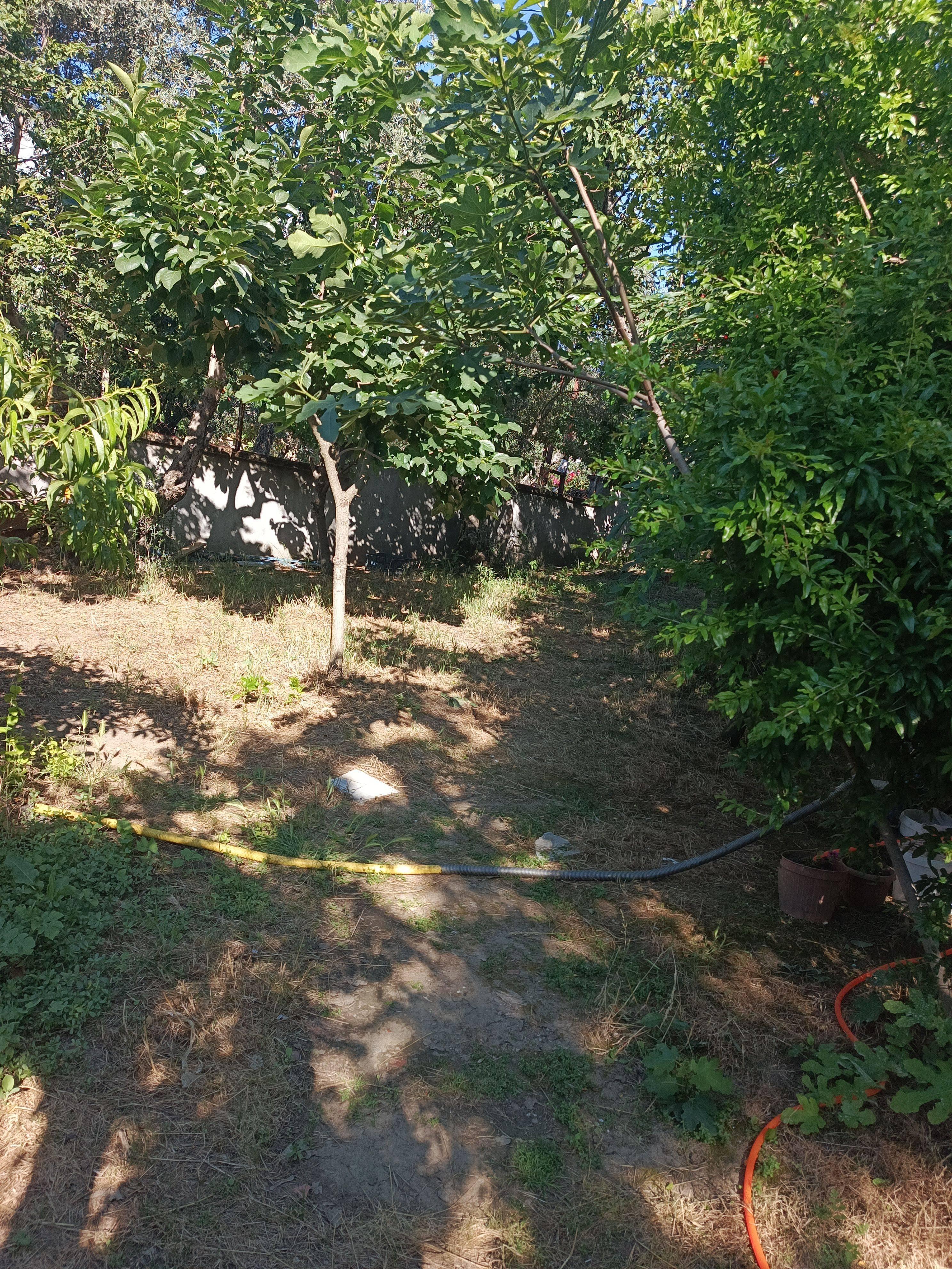 advert_260625_215028_1391.jpg