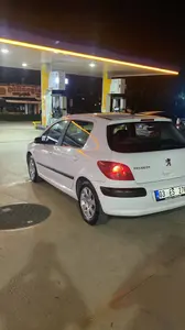 2004 Peugeot 307 1.6 lPG manuel otomobil - Fotoğraf 1