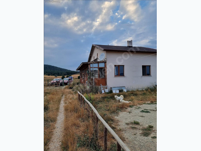 İlan Görseli https://cdn.ilanlar.com/images/l1/l2/{width}/{height}/30001102_1753278557230041923.png