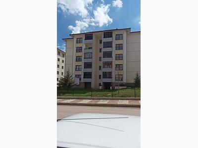 İlan Görseli https://cdn.ilanlar.com/images/l1/l2/{width}/{height}/30001116_1753293148546726380.jpg