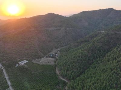 İlan Görseli https://cdn.ilanlar.com/images/l1/l2/{width}/{height}/30001754_1754909835114347580.jpg