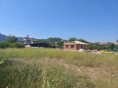 İlan Görseli https://cdn.ilanlar.com/images/l1/l2/{width}/{height}/30002305_1756199806855394925.jpg