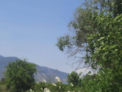 İlan Görseli https://cdn.ilanlar.com/images/l1/l2/{width}/{height}/30002590_1756802956584752890.jpg