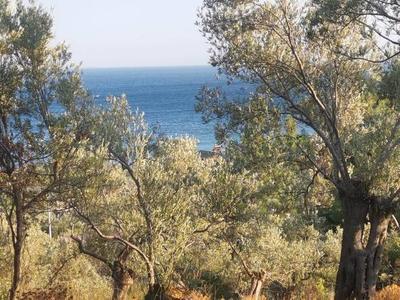 İlan Görseli https://cdn.ilanlar.com/images/l1/l2/{width}/{height}/30002899_1757181871433056328.jpg