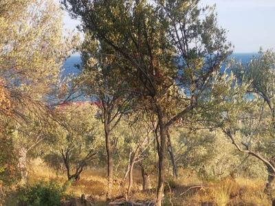 İlan Görseli https://cdn.ilanlar.com/images/l1/l2/{width}/{height}/30002899_1757181871701024298.jpg
