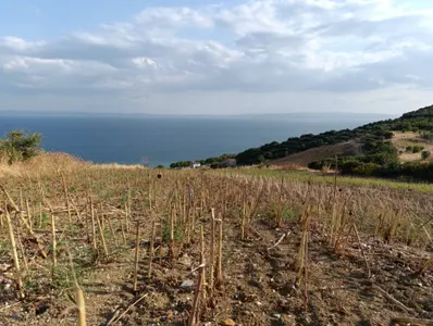 Tekirdağ Şarköy Kızılcaterzi Mahallesi 195 m² satılık villa arsa - Fotoğraf 1