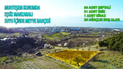https://cdn.ilanlar.com/images/l1/l2/{width}/{height}/30009051_1774262479151054675.png