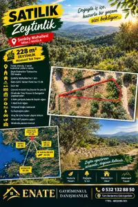 Muğla Milas Şenköy Mahallesi 228 m² satılık zeytinlik arsa - Fotoğraf 1