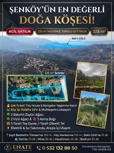Muğla Milas Şenköy Mahallesi 326 m² satılık zeytinlik arsa - Fotoğraf 1