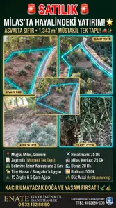 Muğla Milas Göldere Mahallesi 1.343 m² satılık zeytinlik arsa - Fotoğraf 1