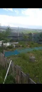 advert_260517_184623_5362.jpg