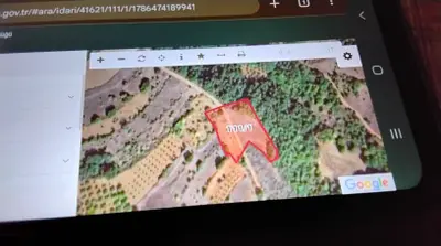 Bilecik Gölpazarı Bayat Köyü Mahallesi 4.375 m² satılık tarla arsa - Fotoğraf 1