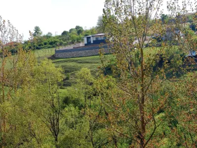 advert_260609_010635_5910.jpg