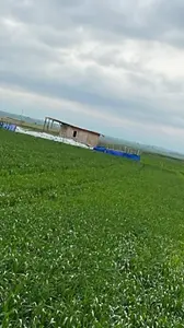 https://cdn.ilanlar.com/images/l1/l2/{width}/{height}/30012039_1781103664364220658.jpg