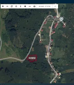 Ordu Aybastı Toygar Mahallesi 2.116 m² satılık bağ & Bahçe arsa - Fotoğraf 1