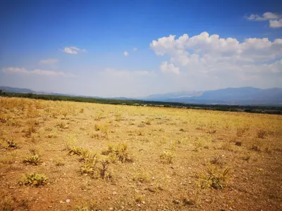 Denizli Tavas Vakıf Mahallesi 29.744 m² satılık tarla arsa - Fotoğraf 1